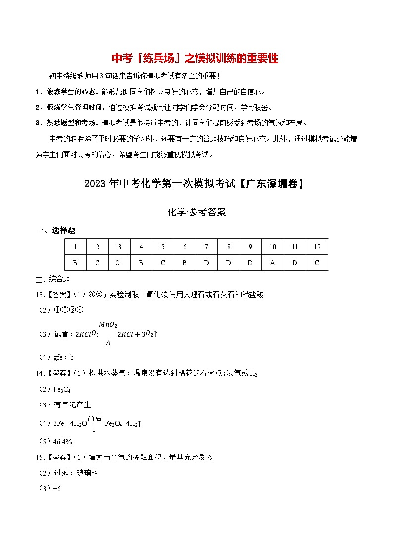 (深圳卷)2023年中考化学第一次模拟考试01