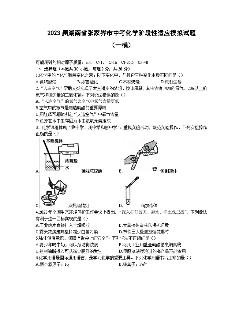 2023届湖南省张家界市中考化学阶段性适应模拟试题(一模)含解析第1页