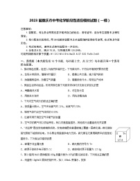 2023届重庆市中考化学阶段性适应模拟试题（一模）含解析