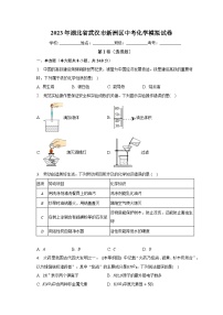 2023年湖北省武汉市新洲区中考化学模拟试卷（含解析）