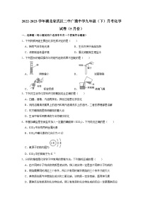 2022-2023学年湖北省武汉二中广雅中学九年级（下）月考化学试卷（5月份）
