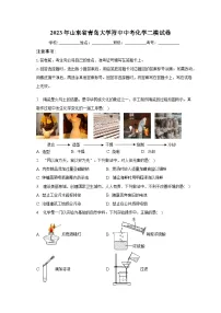 2023年山东省青岛大学附中中考化学二模试卷(含解析)