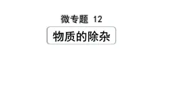 12.微專題12  物質(zhì)的除雜課件PPT