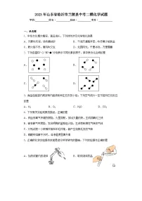 2023年山东省临沂市兰陵县中考二模化学试题(含答案)