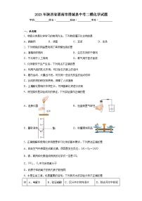 2023年陕西省渭南市澄城县中考二模化学试题(含答案)