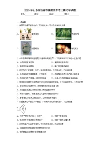 2023年山东省济南市槐荫区中考三模化学试题（含答案）