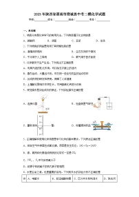 2023年陕西省渭南市澄城县中考二模化学试题（含解析）