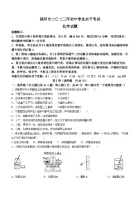 2023年山东省滨州市中考化学中考真题(无答案)