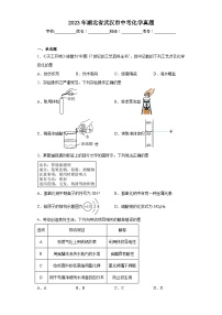 2023年湖北省武汉市中考化学真题（含解析）