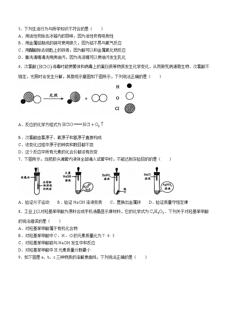 2023年广东省深圳市龙岗区深圳中学龙岗学校中考三模化学试题(无答案)第2页