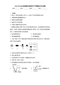 2023年山东省威海市临港区中考模拟化学试题(含解析)