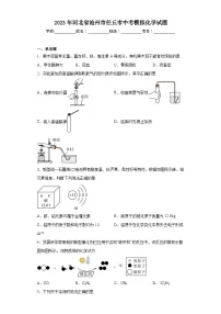 2023年河北省沧州市任丘市中考模拟化学试题(含解析)