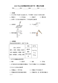 2023年山東省聊城市陽谷縣中考一模化學(xué)試題（含解析）