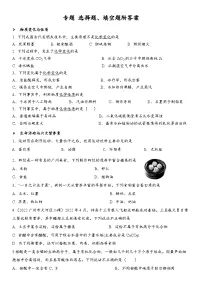 2023年广东省广州市中考化学复习选择题、填空题专题附答案