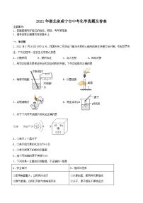 _2021年湖北省咸宁市中考化学真题及答案