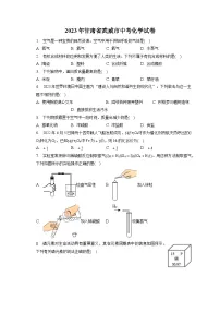 2023年甘肃省武威市中考化学试卷(含答案解析)