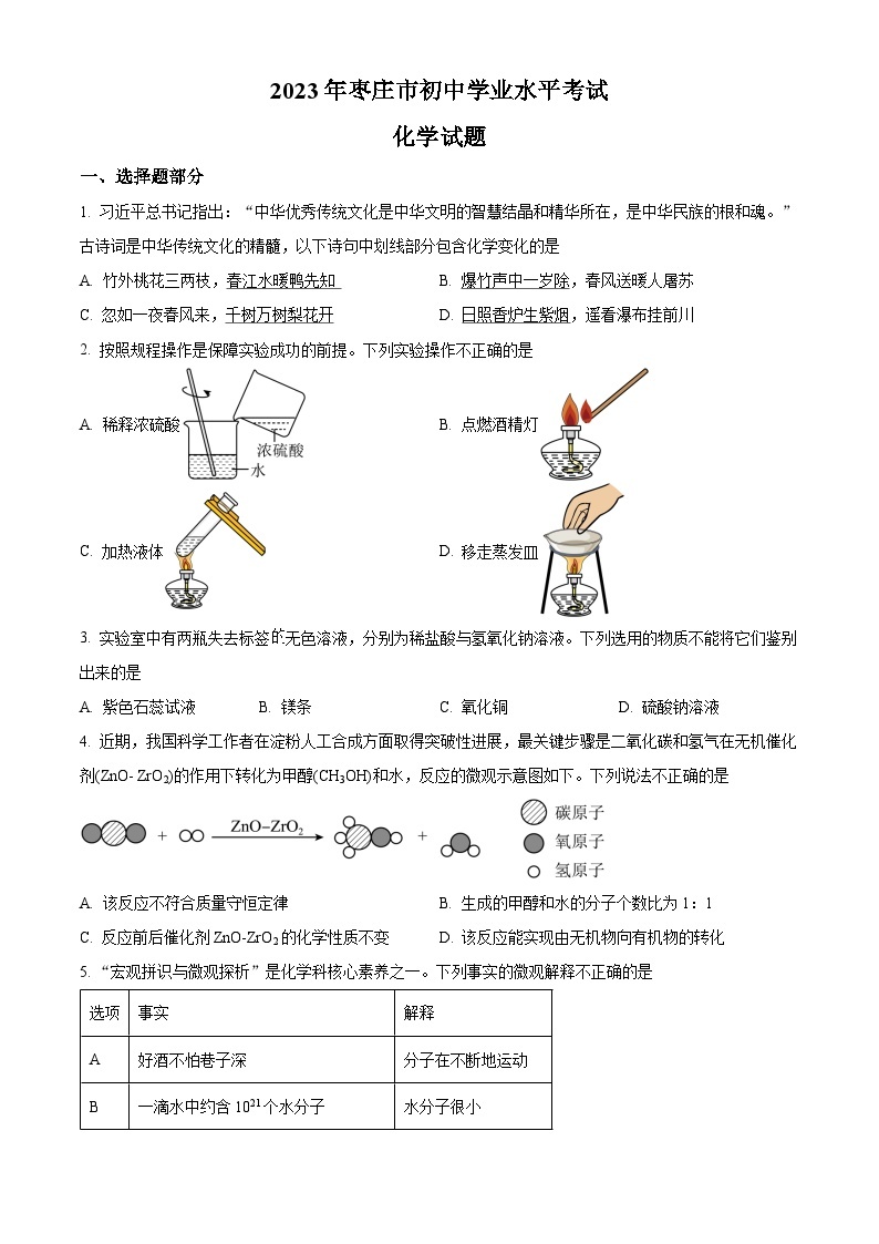 2023年山东省枣庄市中考化学真题及答案解析01