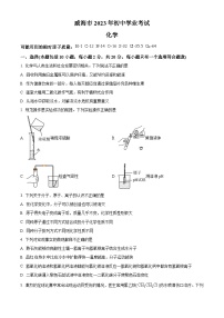 2023年山东省威海市中考化学真题及答案解析