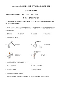 广东省深圳市南山区太子湾学校2022-2023学年九年级上学期期中化学试题