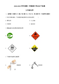 广东省韶关市仁化县2022-2023学年九年级上学期期中化学试题