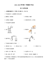 广东省湛江市初级实验中学2022-2023学年九年级上学期期中化学试题