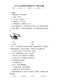 2023年山东省滨州市阳信县中考一模化学试题(含解析)
