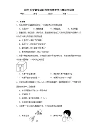 2023年安徽省阜阳市太和县中考二模化学试题（含解析）