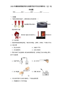2023年湖南省娄底市部分校联考初中学业冲刺作业（五）化学试题（含解析）