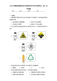 2023年湖南省娄底市部分校联考初中学业冲刺作业（四）化学试题（含解析）