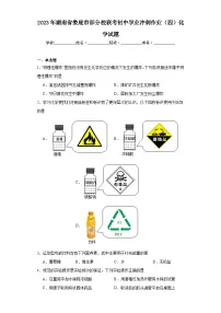 2023年湖南省娄底市部分校联考初中学业冲刺作业(四)化学试题(含解析)