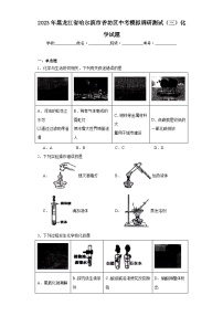 2023年黑龙江省哈尔滨市香坊区中考模拟调研测试（三）化学试题（含解析）