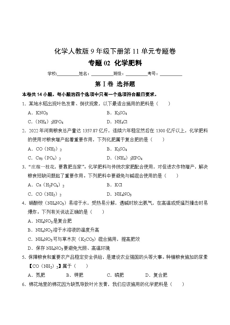 化学人教版9年级下册第11单元专题卷02 化学肥料第2页