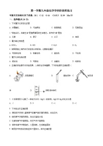 2022-2023学年度上海市嘉定区九年级上学期期中化学试题