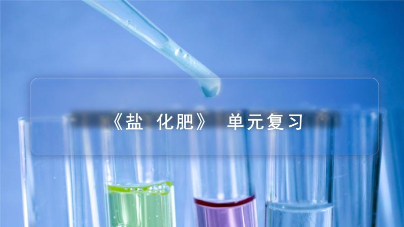 【同步讲义】人教版化学九年级下册--1103 《盐  化肥》单元复习（PPT课件） .01