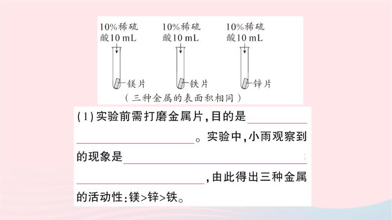 2023九年级化学下册第八单元金属和金属材料课题2金属的化学性质第二课时金属活动性顺序作业课件新版新人教版07