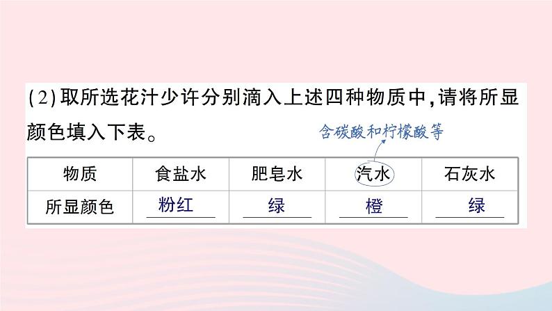 2023九年级化学下册第十单元酸和碱实验活动七溶液酸碱性的检验作业课件新版新人教版04