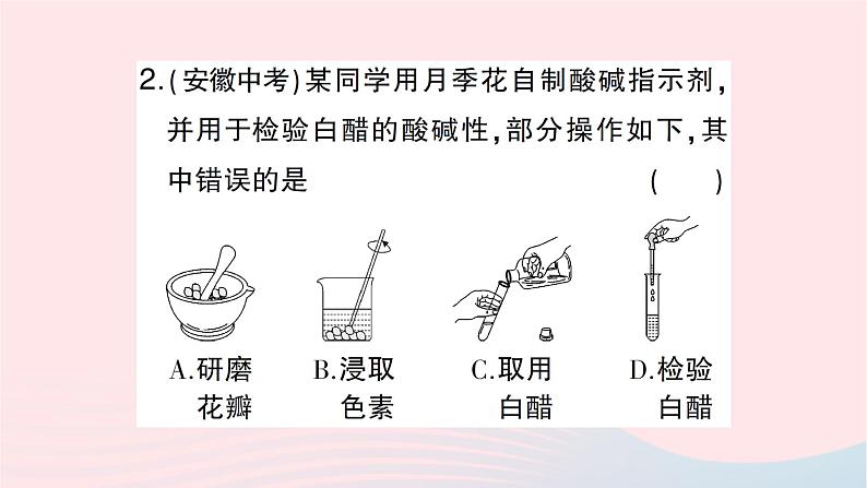 2023九年级化学下册第十单元酸和碱实验活动七溶液酸碱性的检验作业课件新版新人教版 (1)03