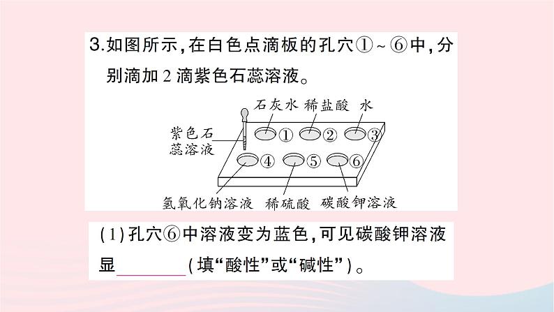 2023九年级化学下册第十单元酸和碱实验活动七溶液酸碱性的检验作业课件新版新人教版 (1)04