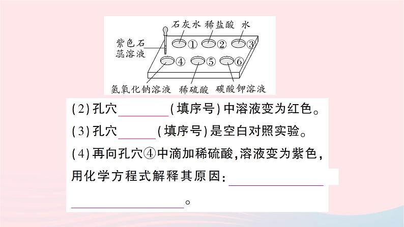 2023九年级化学下册第十单元酸和碱实验活动七溶液酸碱性的检验作业课件新版新人教版 (1)05