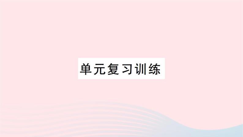 2023九年级化学下册第十一单元盐化肥单元复习训练作业课件新版新人教版01