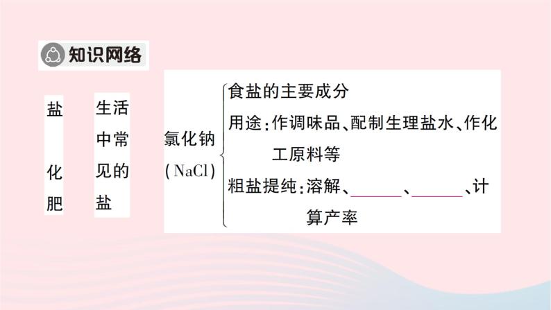 2023九年级化学下册第十一单元盐化肥单元复习训练作业课件新版新人教版02