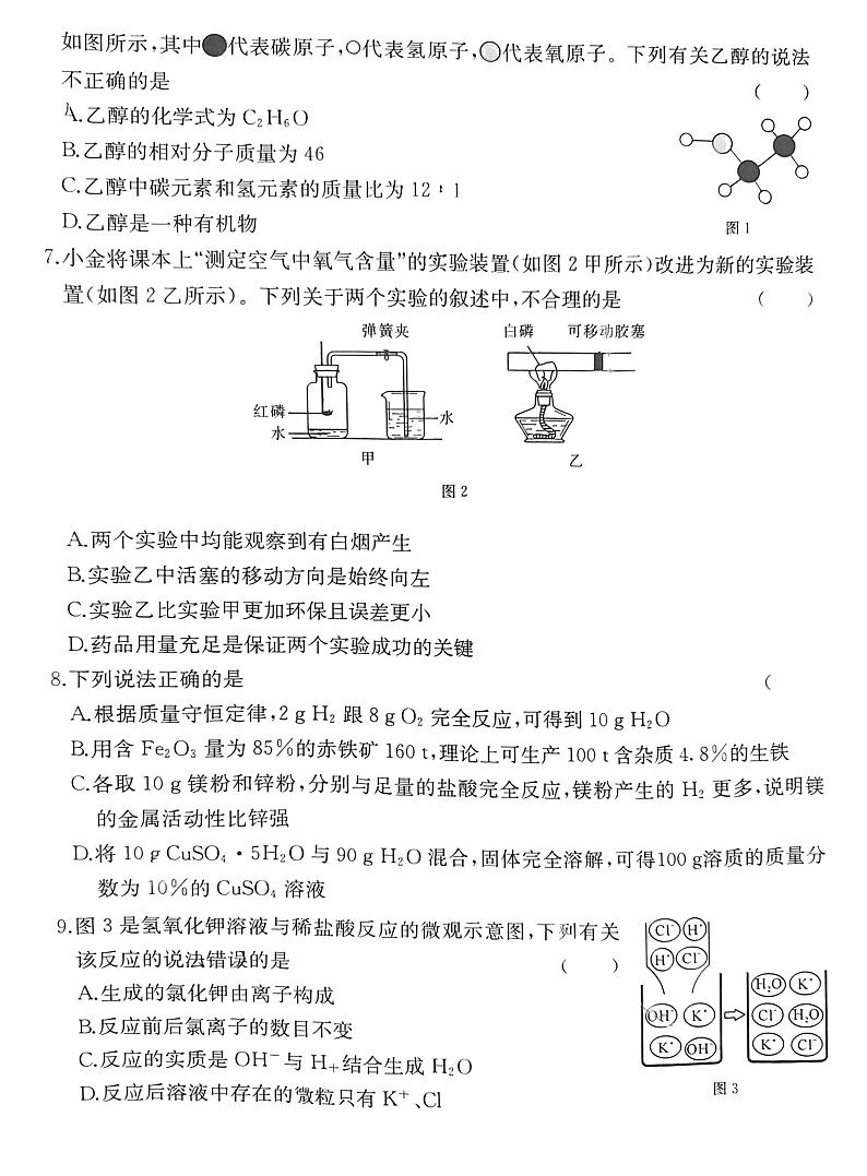 四川省内江市资中县2022-2023学年九年级下学期第一次月考化学试题第2页
