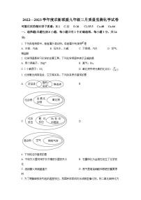 精品解析：湖北省武汉市武昌区2022-2023学年求新联盟九年级三月月考化学试题（原卷版）