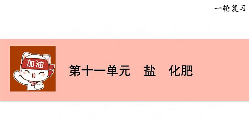 第十一单元 盐 化肥-中考化学一轮单元复习课件PPT01