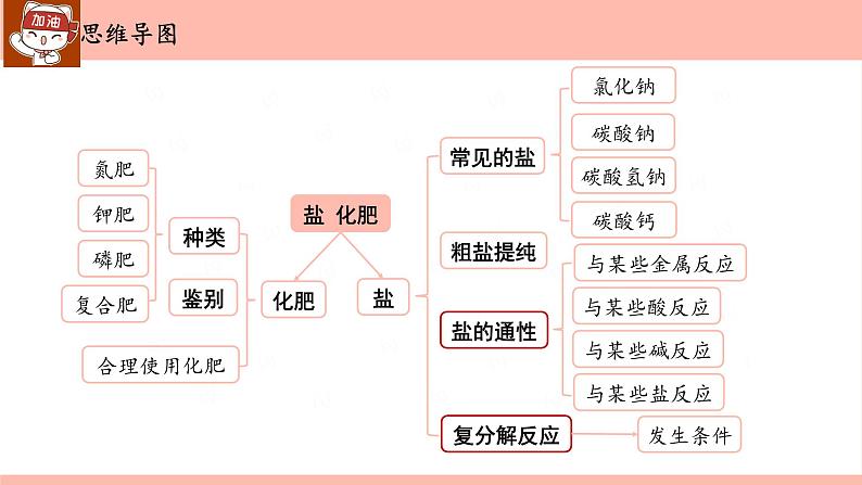 第十一单元 盐 化肥-中考化学一轮单元复习课件PPT02