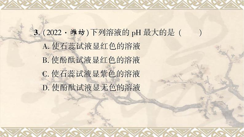 酸和碱-中考化学一轮复习课件PPT第4页
