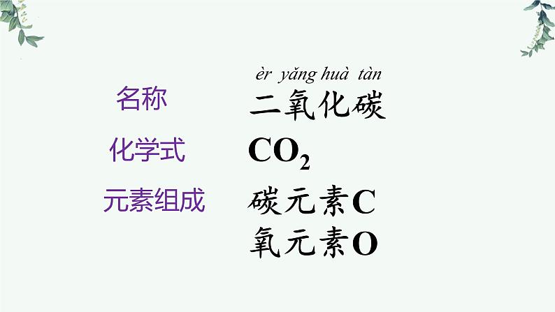 二氧化碳-中考化学一轮复习课件PPT第2页
