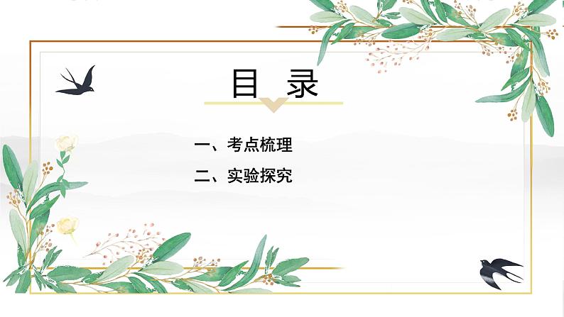碳及其化合物-中考化学一轮复习课件PPT02