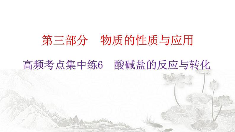 中考化学复习高频考点集中练6酸碱盐的反应与转化课件第1页