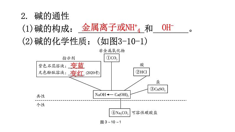 中考化学复习物质的性质与应用第10节常见的碱教学课件08